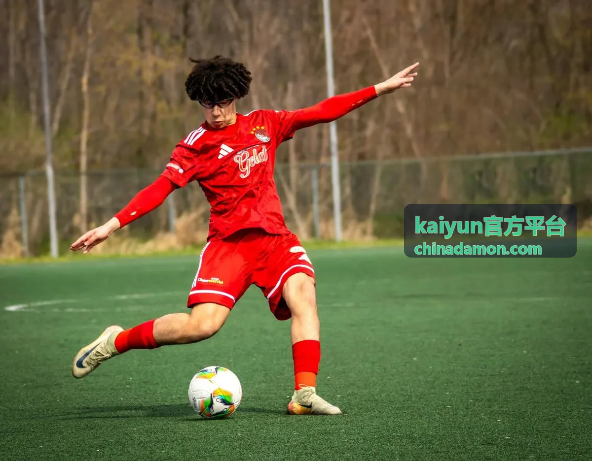 kaiyun官方平台分类栏目与服务指南示意图